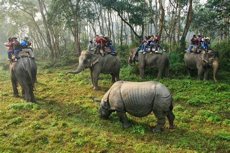 Chitwan National Park : A pride - Image Khabar