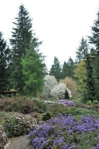 31 Federal Way Parks ideas | federal way, evergreen state, washington state