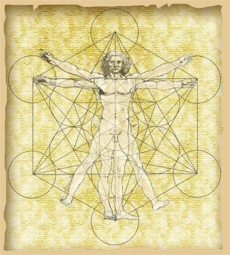 vitruvian man on Tumblr