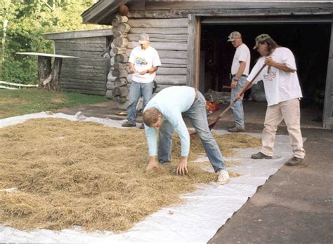 Harvesting Wild Rice | Curb 2014