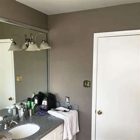 Sherwin Williams Chatura Gray Sw Paint Color