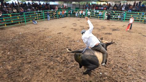 La Tradici N De Las Barreras De Toros No Puede Faltar En Nicaragua