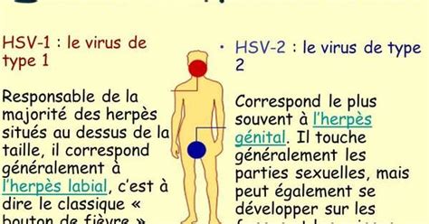 Herpès génital symptômes et traitements Santé pratique