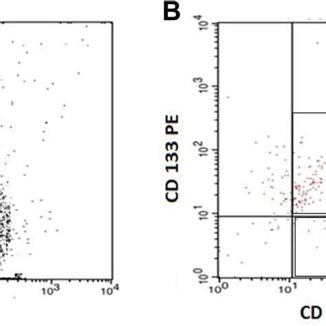 Flow Cytometric Detection Of Circulating Endothelial Cells Cecs And