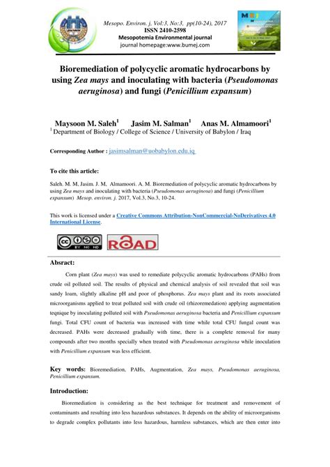 PDF Bioremediation Of Polycyclic Aromatic Hydrocarbons By Using Zea