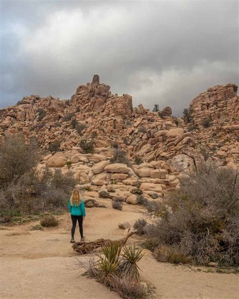 The Best 6 Joshua Tree Hikes For The Most Beautiful Views In This