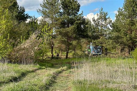 Nielegalna wycinka na Wygodzie Mieszkańcy biją na alarm a deweloper