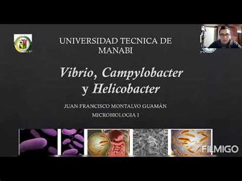 Vibrio Campylobacter Y Helicobacter YouTube