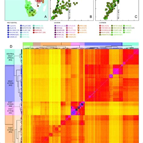 Sub Saharan African Genetic Variation Is Shaped By Ethno Linguistic And