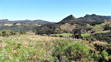 Fazenda Sítio 74000 m² em Pedra Branca em Alfredo Wagner por R 300