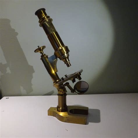 Proantic Microscope Tout Laiton Dans Son Coffret En Acajou Xixe