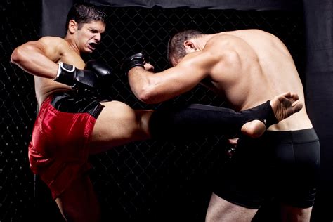 Download Mma Mixed Martial Arts Sports Image