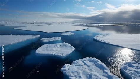 Impact Of Climate Change On Arctic Ice Melting Effects On Ecosystems