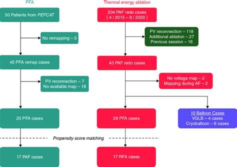 Patient Selection Flow Chart Af Atrial Fibrillation Paf Paroxysmal