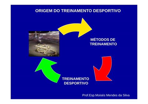 Pdf M Todos De Treinamento Professor Mois S Mendes Pdf