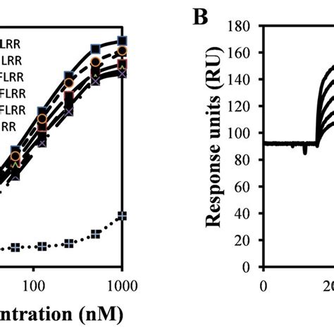 Binding Analysis Of C D A Direct Binding Elisa Demonstrating