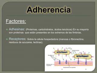 Factores De Patogenicidad Ppt