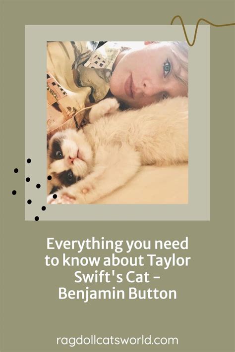 Everything You Need To Know About Taylor Swifts Cat Benjamin Button