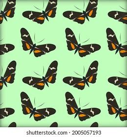 Heliconius Pattern Images Stock Photos Vectors Shutterstock