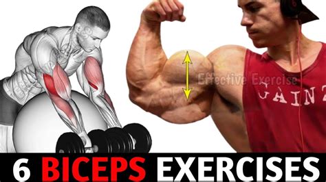 6 Best Biceps Exercises For Massive Arms Youtube