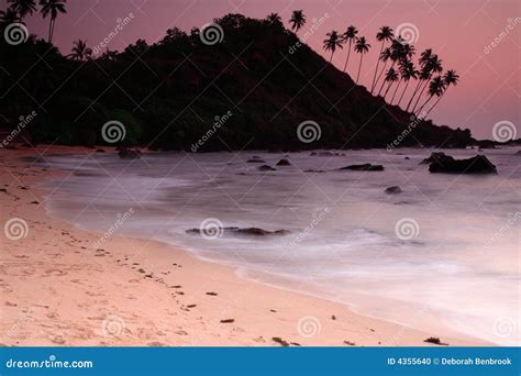 Cola beach sunset stock photo. Image of arabian, light - 4355640