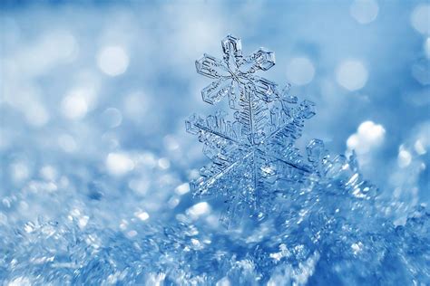 Download Macro Artistic Snowflake Hd Wallpaper