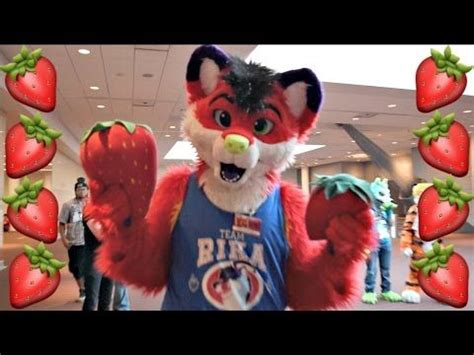 Majira Strawberry Vine Compilation YouTube Fursuit Furry Furry