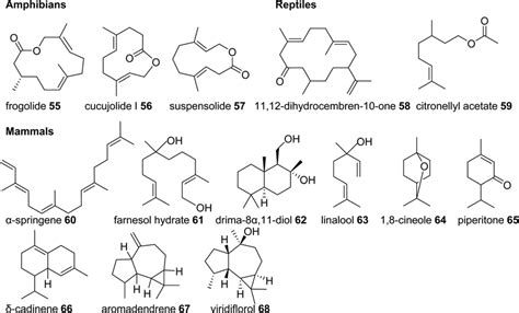 Examples Of Volatile Terpene Semiochemicals In Amphibians Reptiles