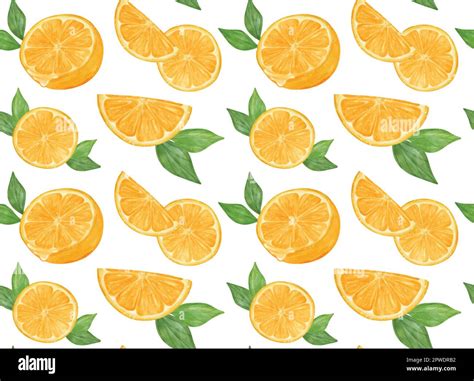 Watercolor Fresh Cut Slice Orange Fruit Pattern Seamless Background