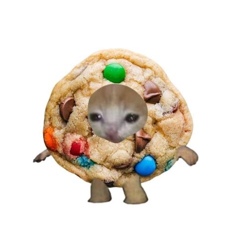 Cookie Silly Cats Cute Cats Funny Cats Sad Cat Meme Cat Memes