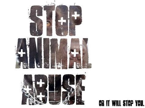 Stop Animal Abuse Quotes Quotesgram