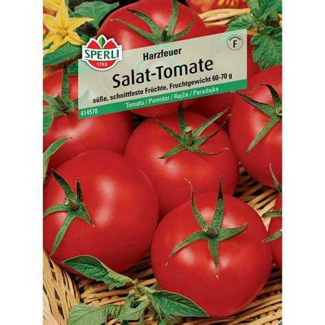 Sperli Salat Tomate Harzfeuer F Hybride Solanum Lycopersicum