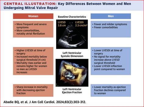 Sex Specific Prognosis Of Left Ventricular Size And Function Following