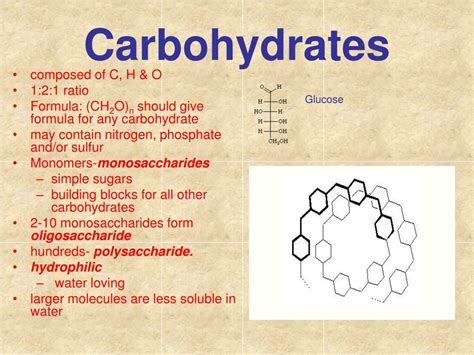 PPT - Molecules of Life PowerPoint Presentation - ID:640901