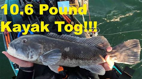 RI Tog Classic Trip The Kayak Division Winner New PB Tautog YouTube