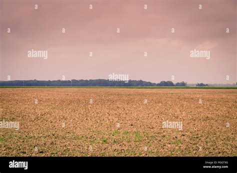 Ein Landwirtschaftliches Feld Fotos Und Bildmaterial In Hoher