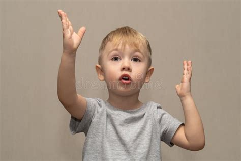 Niño Lindo Con Camisa Gris Rubia Europea Alemán Edad 3 Años Aislado En