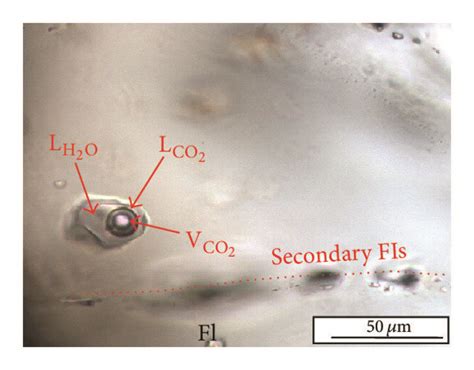 Photomicrographs Showing The Types And Distribution Of Fluid Inclusions