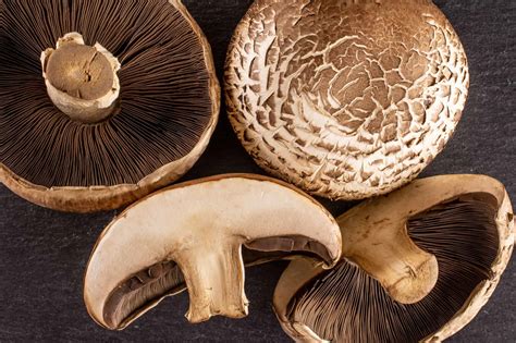 Portobello Mushrooms A Complete Guide