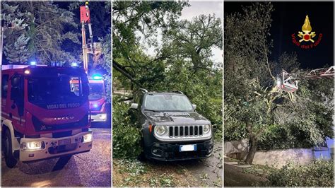 Maltempo Umbria Alberi Crollati E Rami Pericolanti Vigili Del Fuoco