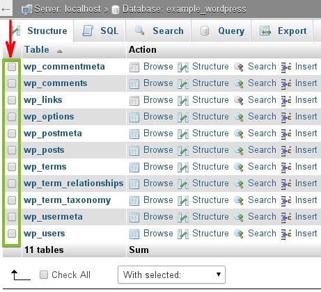 How To Repair MySQL Database With Phpmyadmin And Adminer WP STAGING