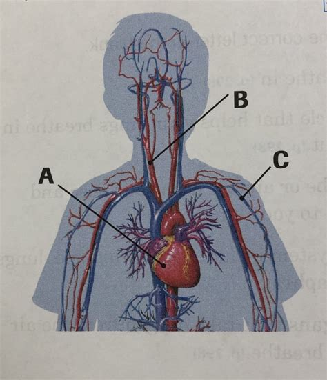 Abeka Grade Science Quiz Diagram Quizlet