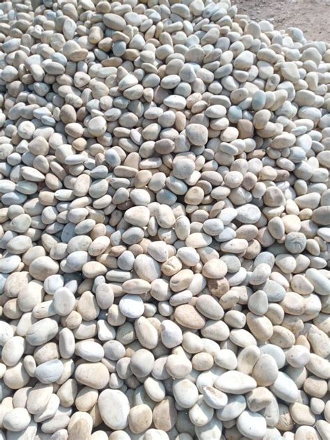 Pebble Stone Round Natural White River Pebbles For Landscaping At Rs