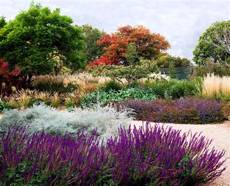 Best Australian Native Garden Plants Australian Native Garden Garden Landscape Design