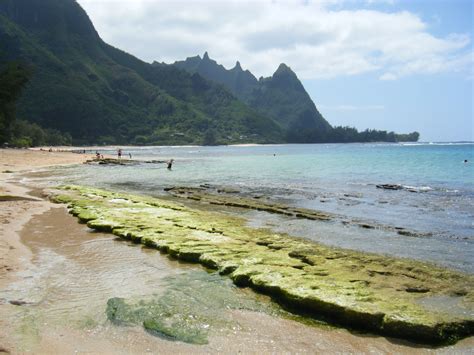 Filehaena Kauai Wikipedia