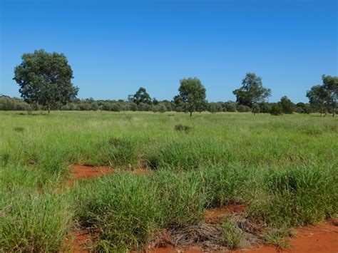 Albert Park Road Charleville Qld Domain