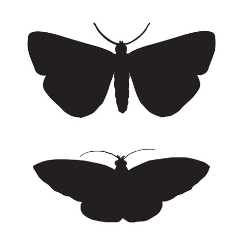 Moth Silhouette Illustration 47809459 Vector Art At Vecteezy