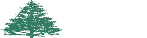 juniper investment group houston texas