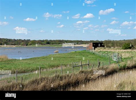 Minsmere RSPB Nature Reserve Suffolk England UK Stock Photo Alamy