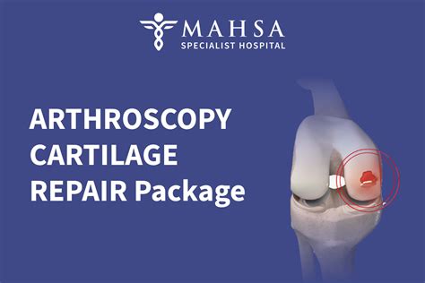 Arthroscopy Cartilage Repair Package Mahsa Specialist Hospital